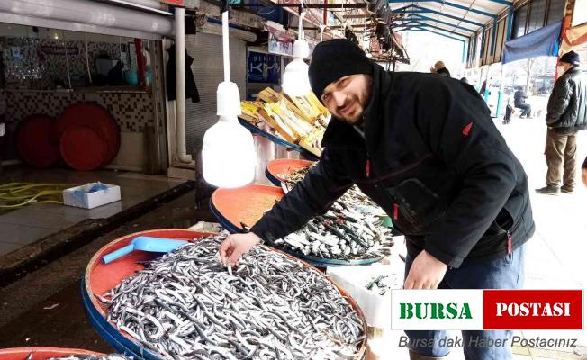 Hamsinin kulağına kar suyu kaçtı