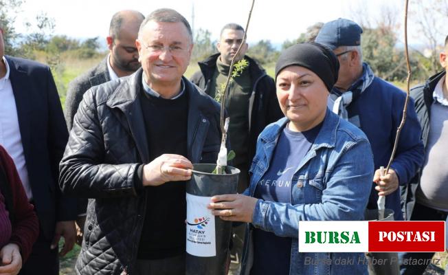 Hatay Büyükşehir Belediyesi’nden üreticiye destek