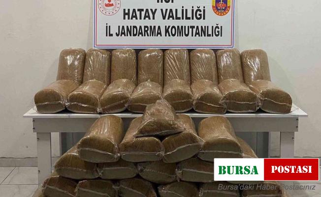 Hatay’da 230 kilogram kaçak tütün ele geçirildi