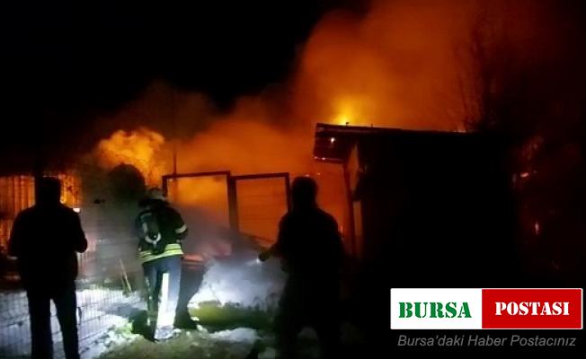 Hayvanların bulunduğu ahır alev alev yandı