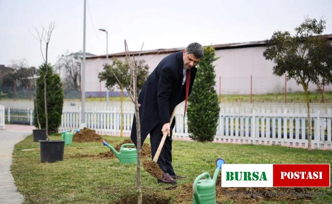 Herkes dalından yesin diye yüzlerce kiraz ve vişne ekildi