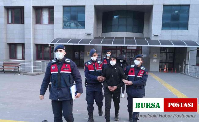 Hidroelektrik santralinden kablo çalan hırsızlar tutuklandı