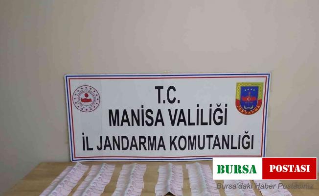 Hırsızlık şüphelisi jandarma ekipleri tarafından yakalandı