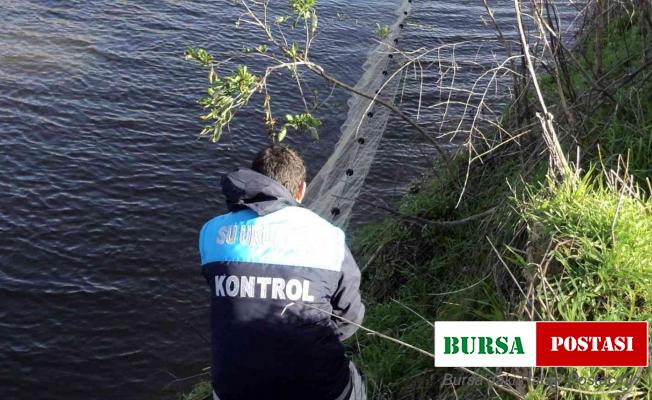 İç sularda sazangiller ve yayın balığı yasa başladı