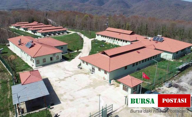 İlçelere sokak hayvanları üniteleri kurulacak