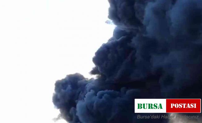 Isınmak için yakılan ateş yangına neden oldu