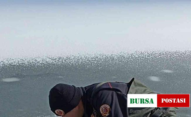 İtfaiye ekipleri buz tutan gölete düşen köpeği donmak üzereyken kurtardılar