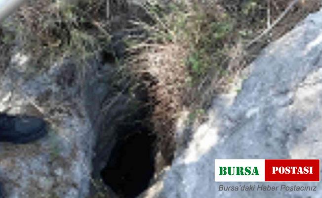 İtfaiye’den keçi kurtarma operasyonu