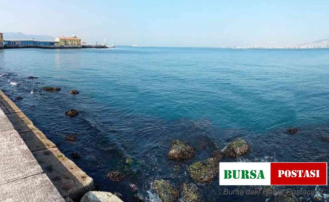 İzmir Körfezi’nde su seviyesi 80 santimetre düştü, deniz ulaşımı aksadı