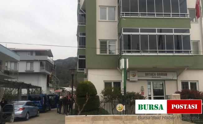 Jandarmanın ‘Ormancı’ operasyonunda gözaltı sayısı 25’e yükseldi