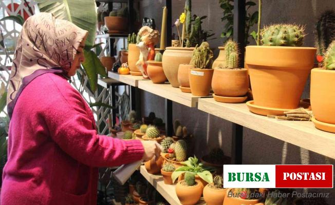 Kaktüs merakı kadın girişimciyi iş sahibi yaptı