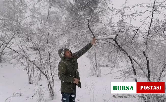 Kar yağışı fındık fiyatlarını yükseltti