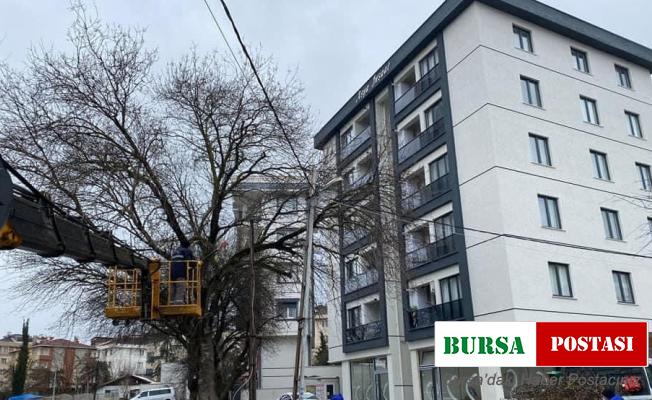 Kar yağışından etkilenen ağaçlara Kartal Belediyesi ekiplerinden anında müdahale