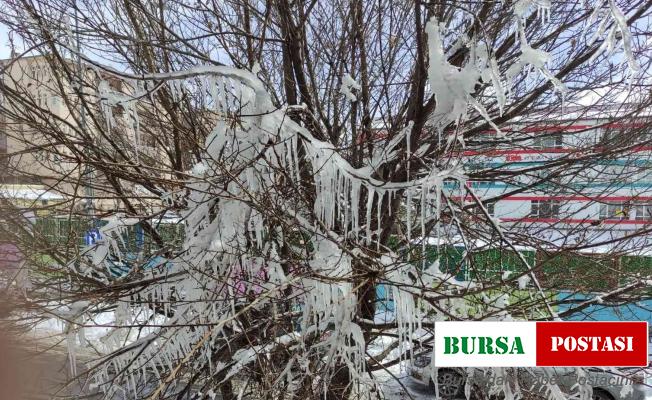 Kar yağışının ardından dondurucu soğuklar başladı