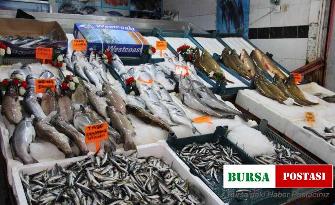 Kar yağışlarıyla birlikte balık tezgahlarında hareketlilik