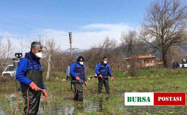 Karabağlar Yaylası’nda Vektörle mücadele