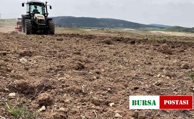 Karabük’te 2 bin dekar alanda ayçiçek ekimi yapılacak