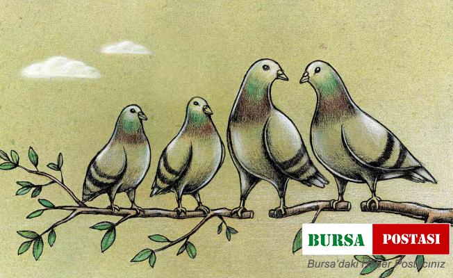 Karikatür yarışmasına 53 ülkeden 485 sanatçı 967 eseriyle katıldı