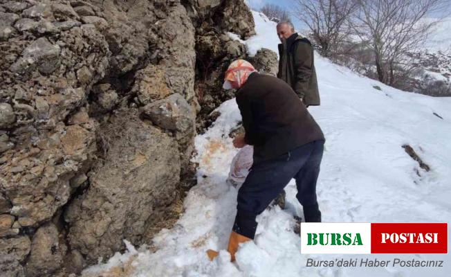 Karlıova kırsalına 550 kilo yem bırakıldı