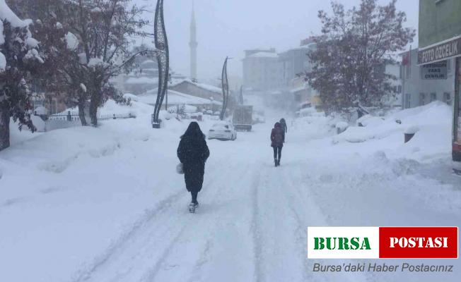 Karlıova’da kar çilesi bitmiyor