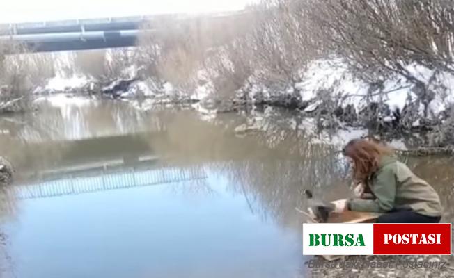 Kars’ta Sakarmeke’nin tedavisi tamamlandı