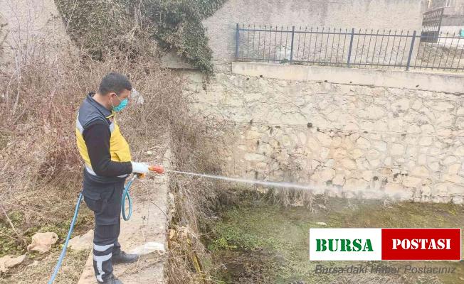 Kastamonu’da haşere ile mücadele çalışmalarını sürdürüyor