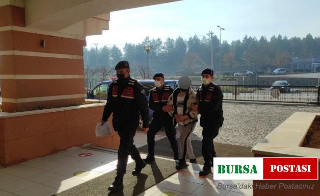 Kastamonu’da uyuşturucu operasyonu: 1 tutuklama