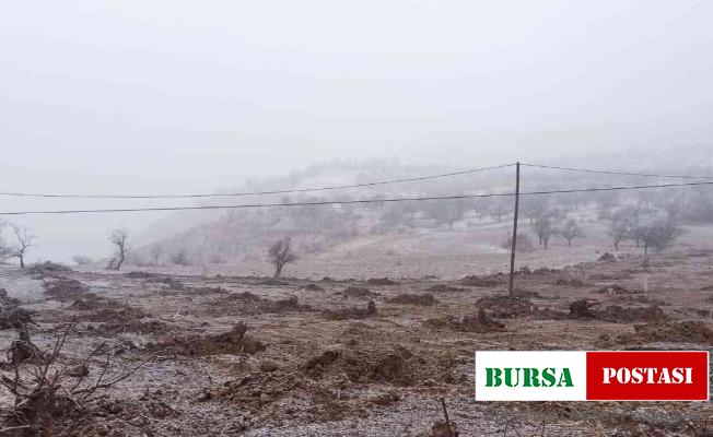 Kayısı bahçesinde çalışırken kara yakalandılar