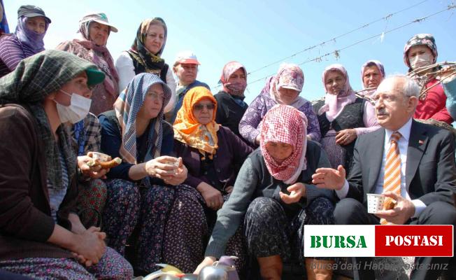 Kılıçdaroğlu kadın çiftçilerle bağda buluştu