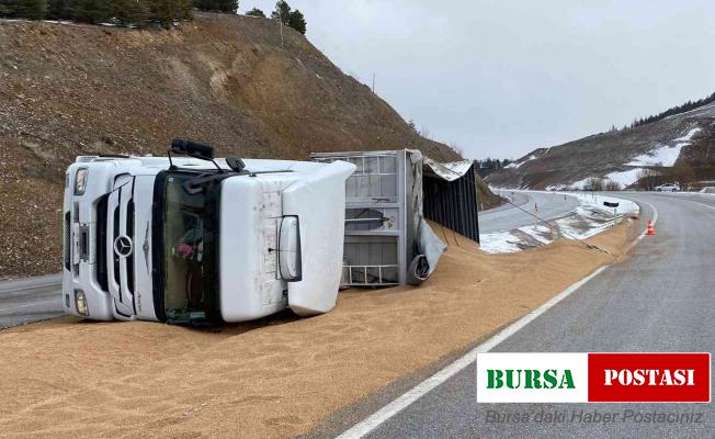 Kontrolden çıkan tır devrildi, 25 ton buğday yola saçıldı
