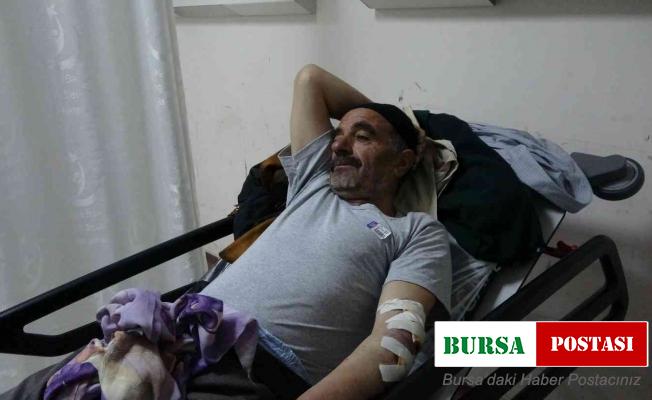 Köpek saldırısına uğrayan yaşlı adam helikopterle hastaneye kaldırıldı