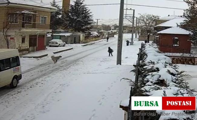 Köpek saldırısından kurtulan Yusuf o anları anlattı