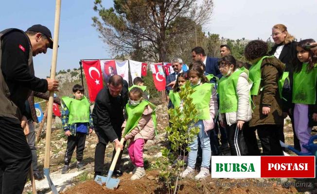 Kozan’da yanan ormanlar yeniden fidanla buluşuyor