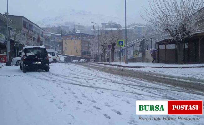 Kulp’ta kar yağışı başladı, okullar tatil edildi