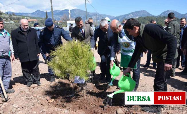Kumluca’da 250 15 Temmuz Şehidi anısına 250 fidan dikildi