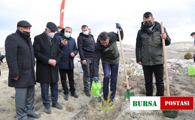 Kütahya’da 10 yılda 16 milyon fidanı toprakla buluştu