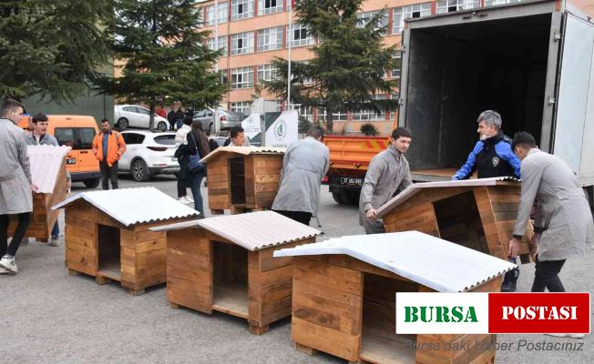 Lise öğrenciler can dostları için atıl ürünlerden köpek kulübeleri yaptı