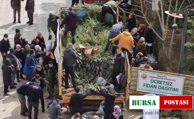 Malatya’da ücretsiz fidan