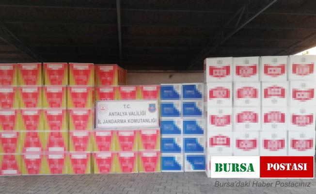 Manavgat’ta 1 milyon 200 bin liralık makaron ele geçirildi