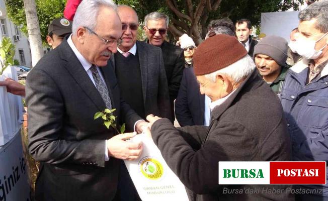 Manavgat’ta 10 bin 500 fidan dağıtıldı