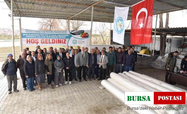 Manisa Büyükşehir Belediyesinden çilek üreticilerine destek