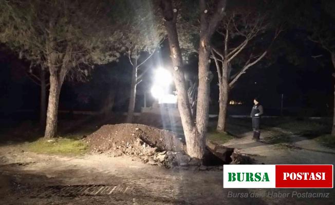 Manisa Büyükşehir’den Akhisar’da ağaç duyarlılığı