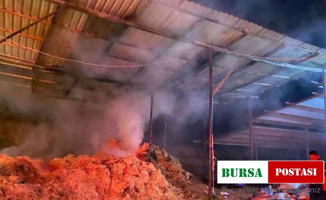 Manisa’da besi çiftliğinde yangın