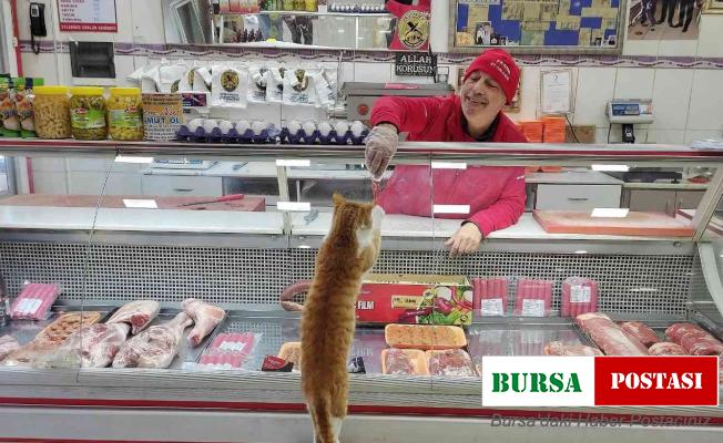 Manisalı fenomen kasap animasyon filmi oldu