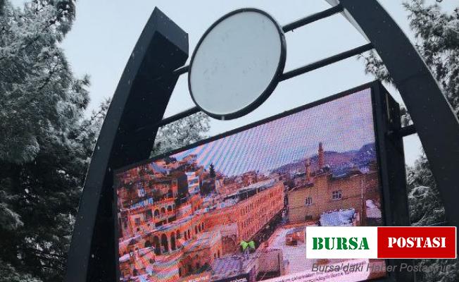 Mardin güne karla uyandı