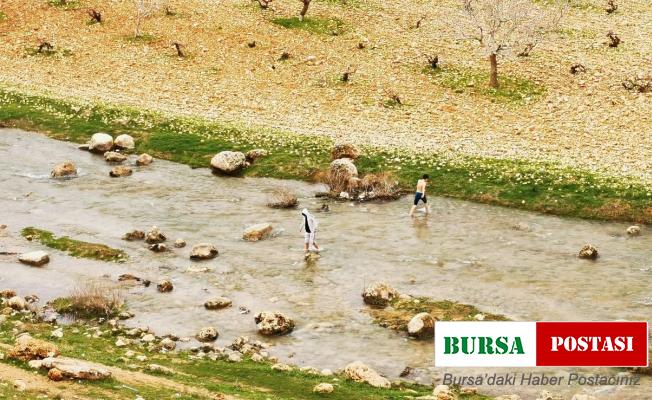 Mardin’de çocuklar soğuk havada derede yüzdü