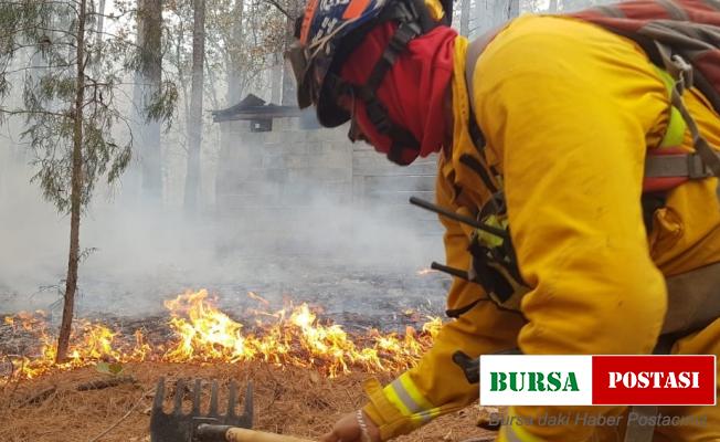 Meksika’da son 24 saatte 39 orman yangını