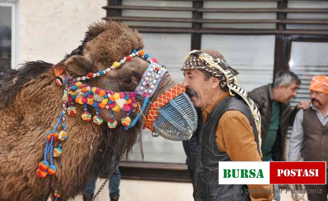 Menemen’de folklorik deve gösterisi heyecanı