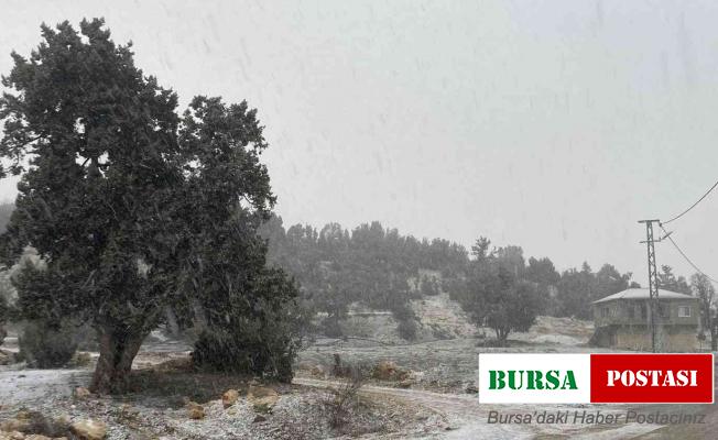 Mersin’de aniden kar bastırdı, doğa beyaza büründü