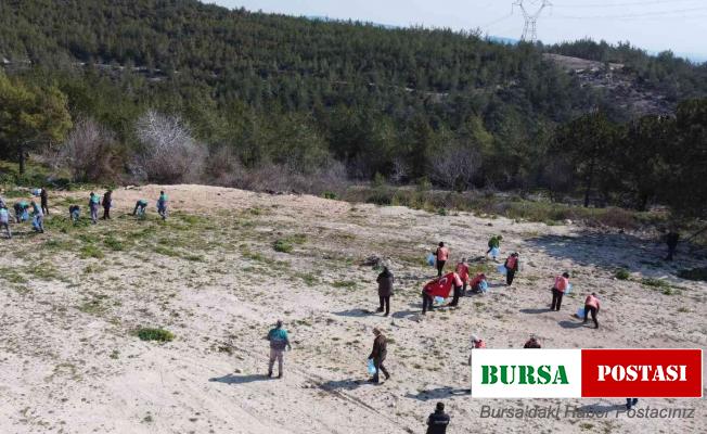 Mersin’de bal ormanı çevresi çöplerden temizlendi